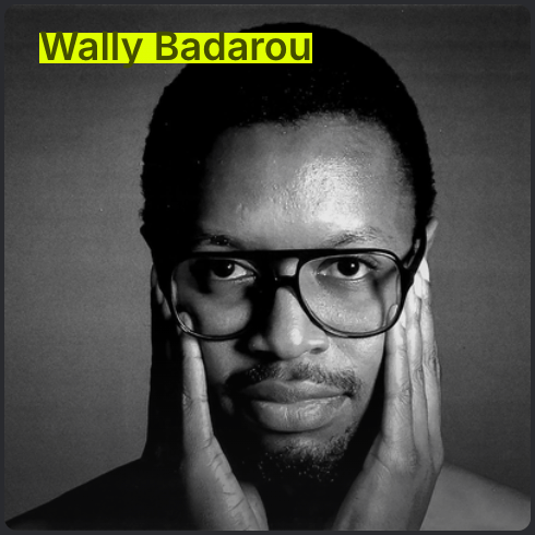Portrait of Wally Badarou